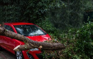 schwetzler-newsblog-kollision-auto-baum