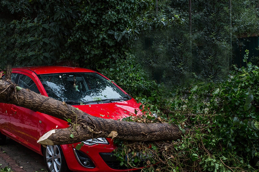 schwetzler-newsblog-kollision-auto-baum